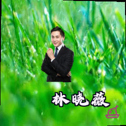 林晓薇